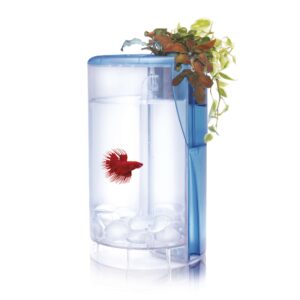 ICA BETTA FLORA 2L. NEGRE