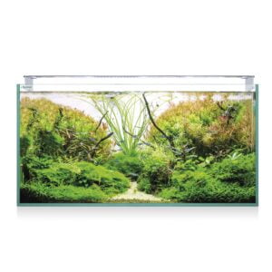 AQUASCAPE PRO RGB 100X50X50. 226 LITROS